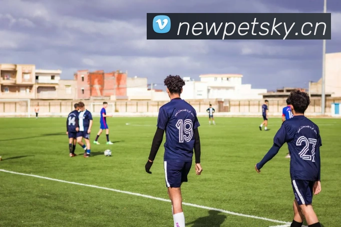 乐竞手机网页版入口品牌故事