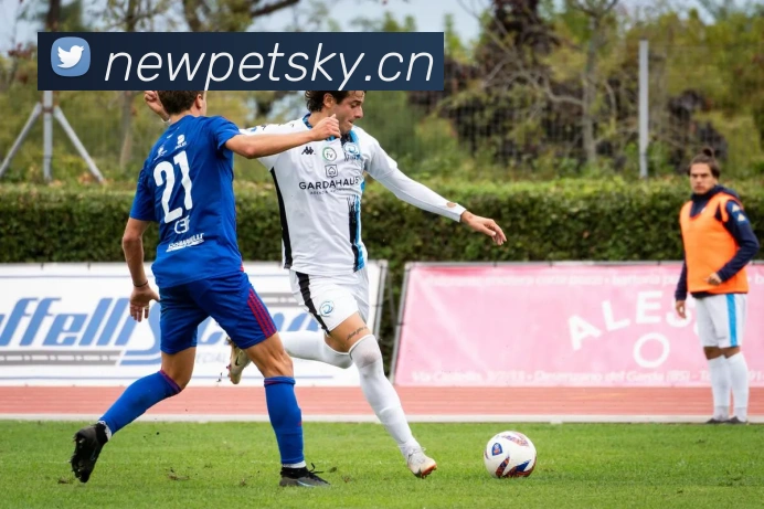 乐竞手机网页版入口服务体系