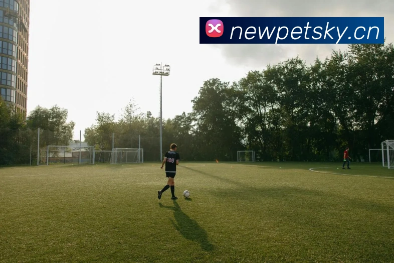 乐竞手机网页版入口APP 体育赛事宣传图